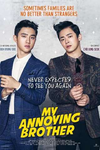My Annoying Brother