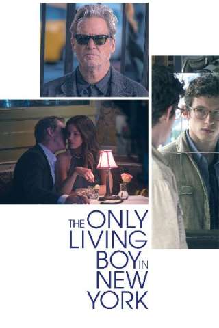 The Only Living Boy in New York
