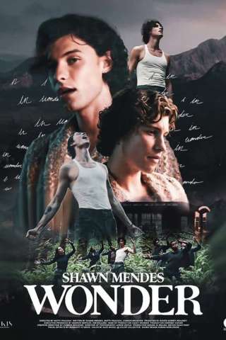 Shawn Mendes: In Wonder