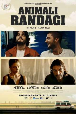 Animali Randagi