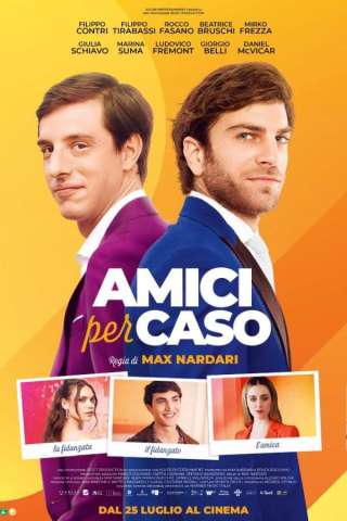 Amici per caso