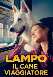 Lampo il cane viaggiatore